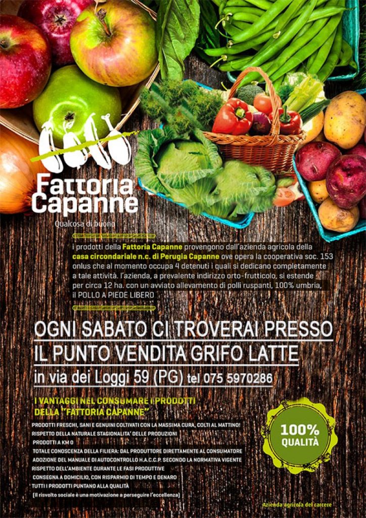 Non solo latte, formaggi, legumi, salumi e gastronomia....